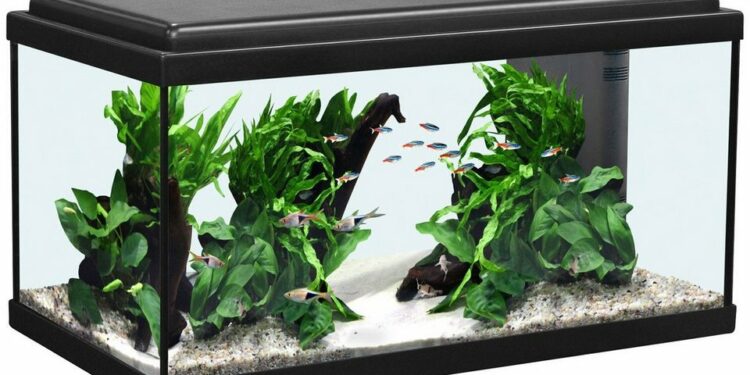 Quel filtre pour un aquarium de 60 litres ?