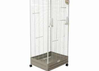 Quel fond de cage pour canari ?