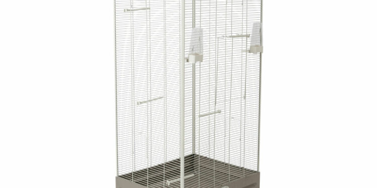 Quel fond de cage pour canari ?