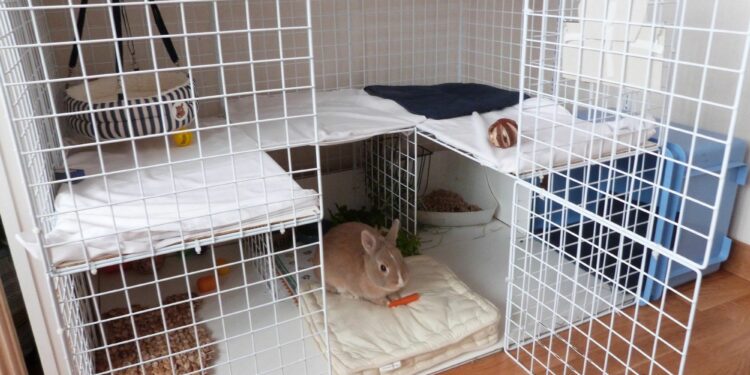 Quel fond de cage pour lapin ?
