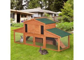 Quel fond de cage pour lapin ?