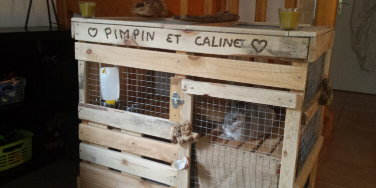 Quel fond de cage pour lapin ?