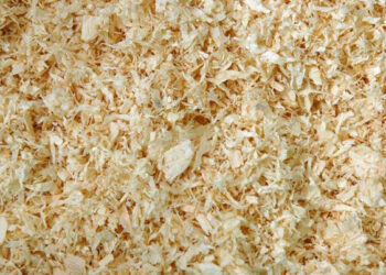 Quel fond de cage pour lapin ?