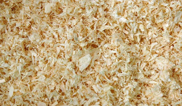 Quel fond de cage pour lapin ?