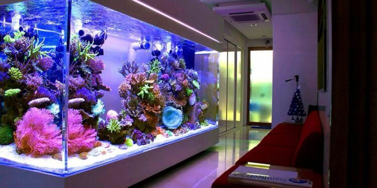 Quel fond mettre dans un aquarium ?