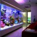 Quel fond mettre dans un aquarium ?