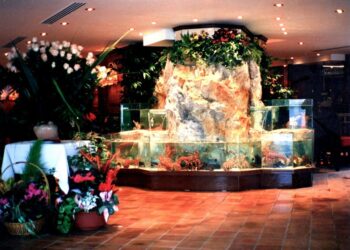 Quel fond mettre dans un aquarium ?