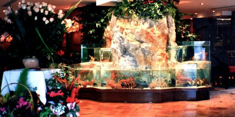 Quel fond mettre dans un aquarium ?