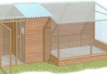 Quel fond pour une volière ?