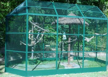 Quel fond pour une volière ?