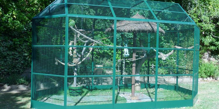 Quel fond pour une volière ?