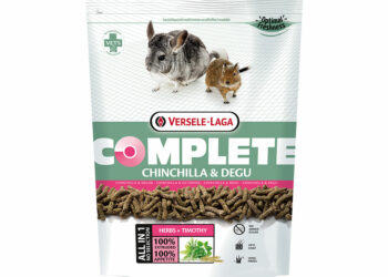 Quel fruit et légume pour octodon ?