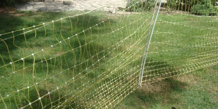 Quel grillage contre renard ?