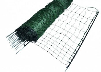 Quel grillage efficace contre les fouines ?