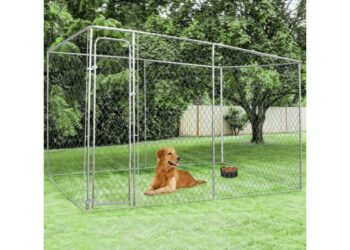 Quel grillage pour chien fugueur ?