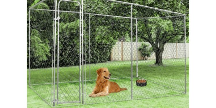 Quel grillage pour chien fugueur ?