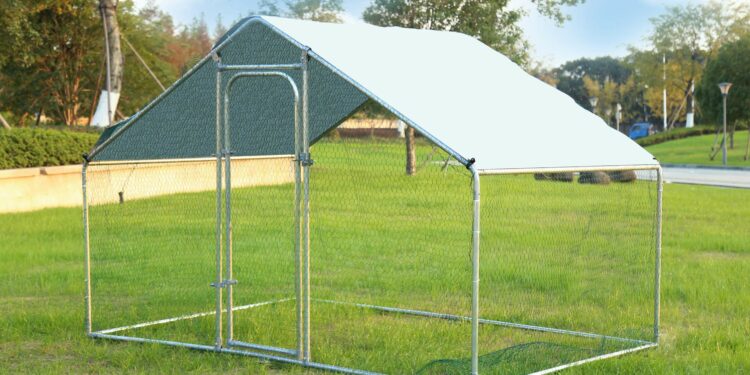 Quel grillage pour enclos chat ?