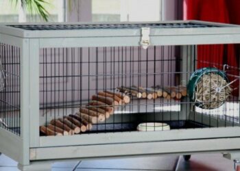 Quel grillage pour furet ?