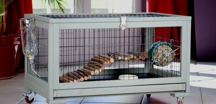 Quel grillage pour furet ?