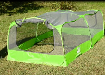 Quel grillage pour un catio ?