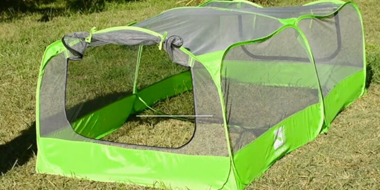 Quel grillage pour un catio ?