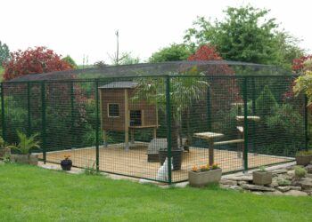 Quel grillage pour un catio ?