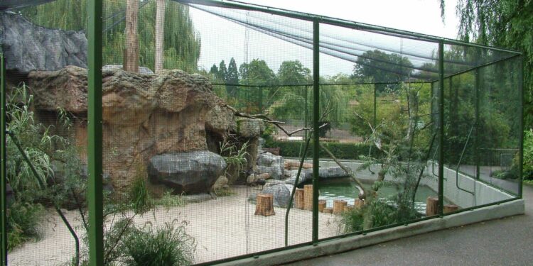 Quel grillage pour un catio ?