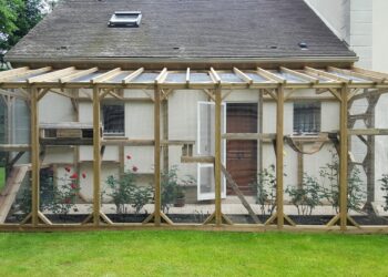 Quel grillage pour une chatterie ?