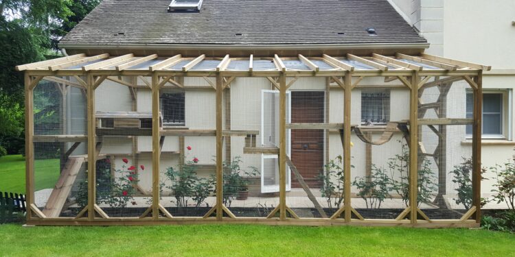 Quel grillage pour une chatterie ?