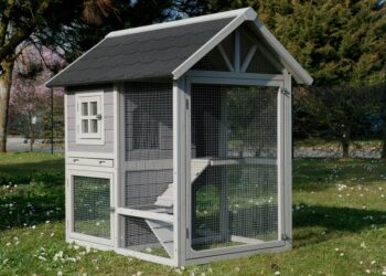 Quel grillage pour une chatterie ?