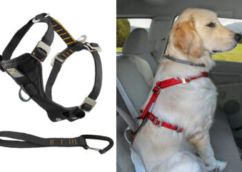 Quel harnais eviter ?