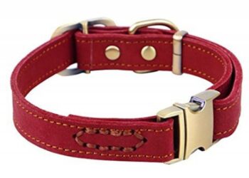 Quel harnais eviter ?