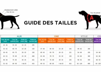 Quel harnais eviter ?