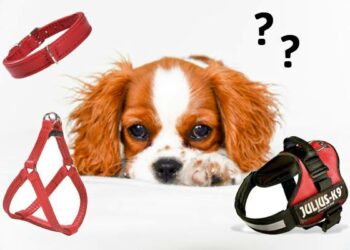 Quel harnais eviter ?