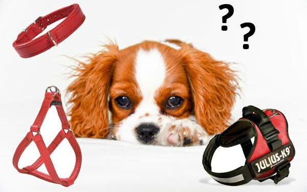 Quel harnais eviter ?