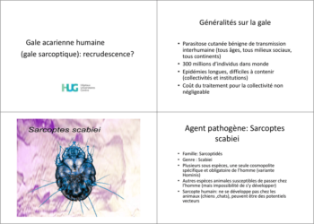 Quel insecticide pour la gale ?