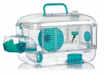 Quel jouet pour un hamster ?