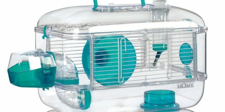 Quel jouet pour un hamster ?