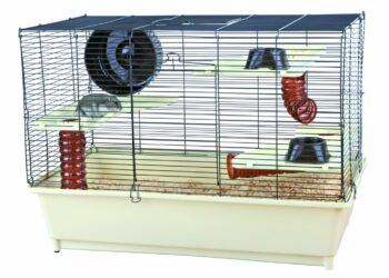 Quel jouet pour un hamster ?