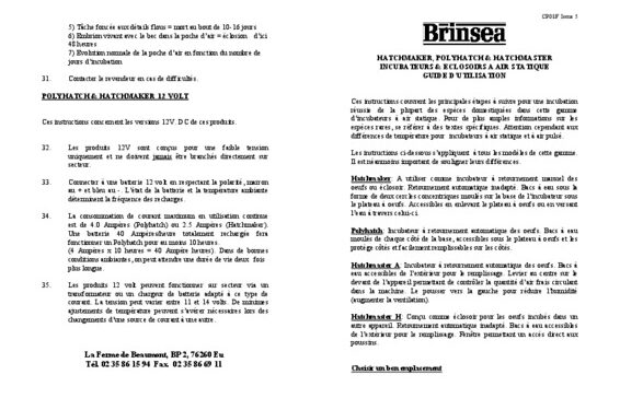 Quel jour mirer les œufs ?