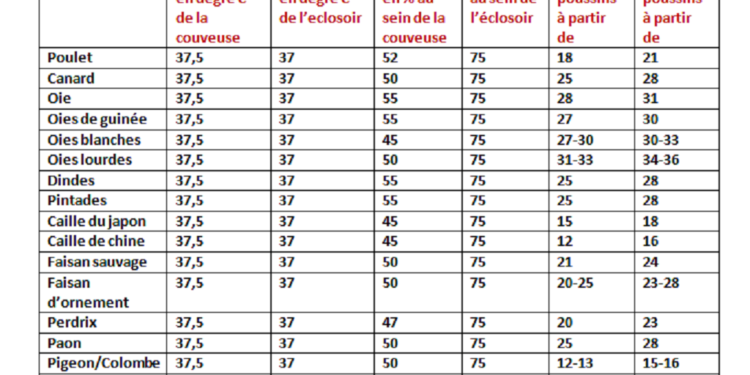 Quel jour mirer les œufs ?