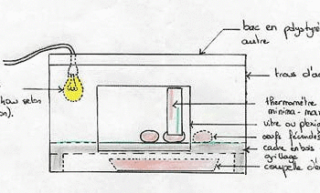 Quel jour mirer les œufs ?