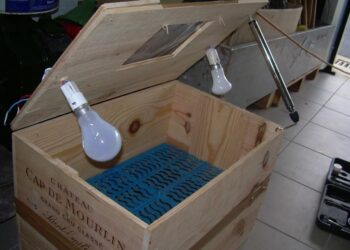 Quel jour mirer les œufs ?