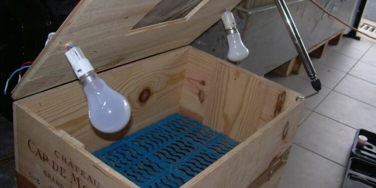 Quel jour mirer les œufs ?