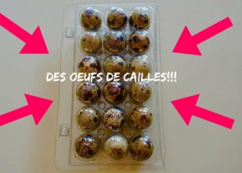 Quel jour mirer les œufs ?