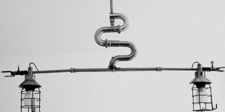 Quel lampe pour Python regius ?