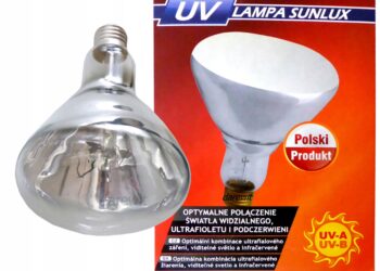 Quel lampe pour reptile ?