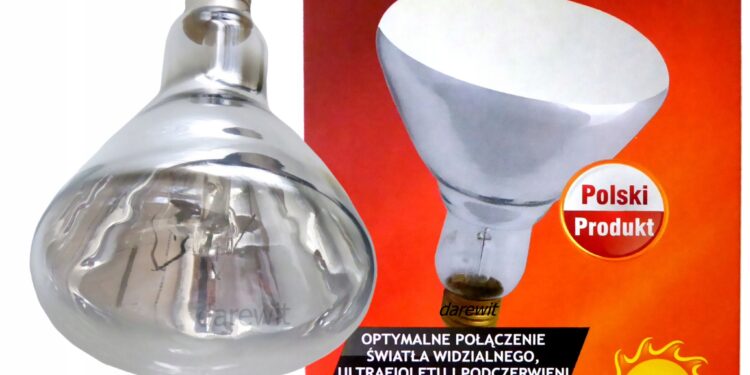 Quel lampe pour reptile ?