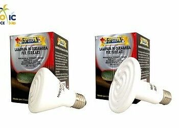 Quel lampe pour reptile ?