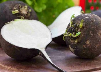 Quel légume ne pas donner au lapin ?